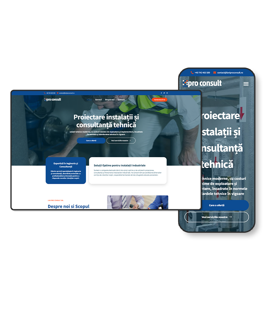 Portofoliu Web Design