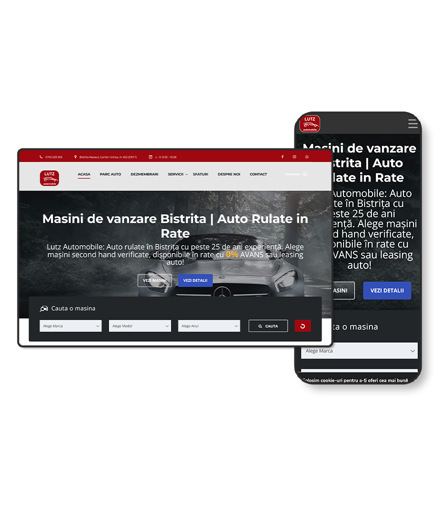 creare site vanzari auto-dealer masini